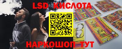 гидра Будённовск