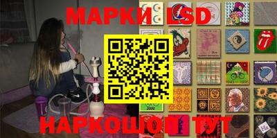 гидра Будённовск