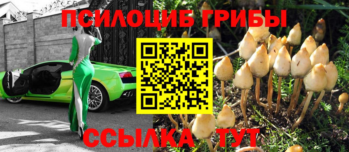 Галлюциногенные грибы Cubensis Кондопога