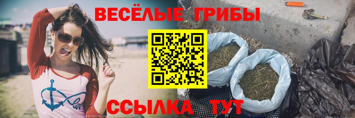 Галлюциногенные грибы мухоморы  Вход с VPN  Псилоцибиновые грибы MAGIC MUSHROOMS  Кондопога 